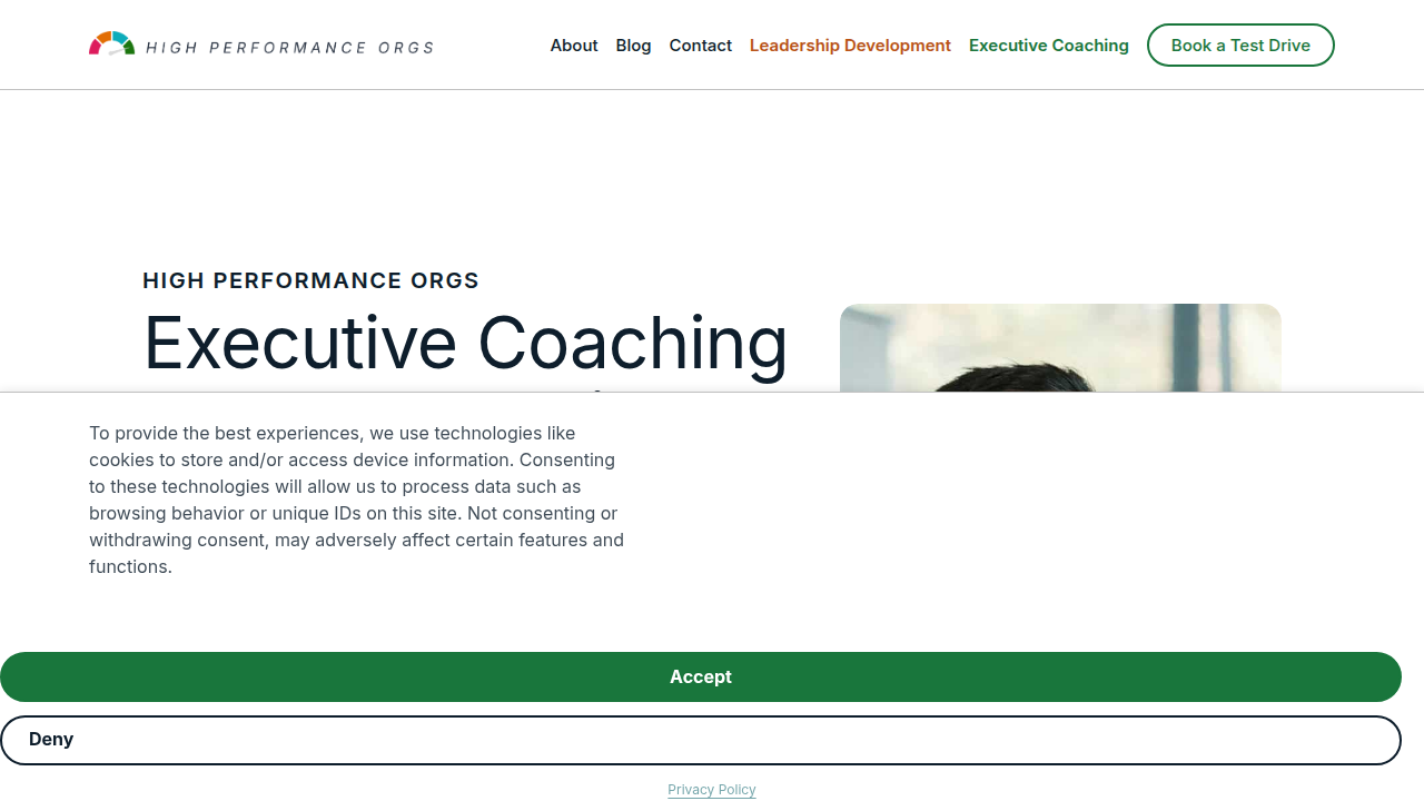 Screenshot of High Performance Organizations' homepage, a resource for executive coaching ROI statistics and guides.